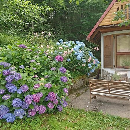 Holiday Home Vesna Brod na Kupi ภายนอก รูปภาพ