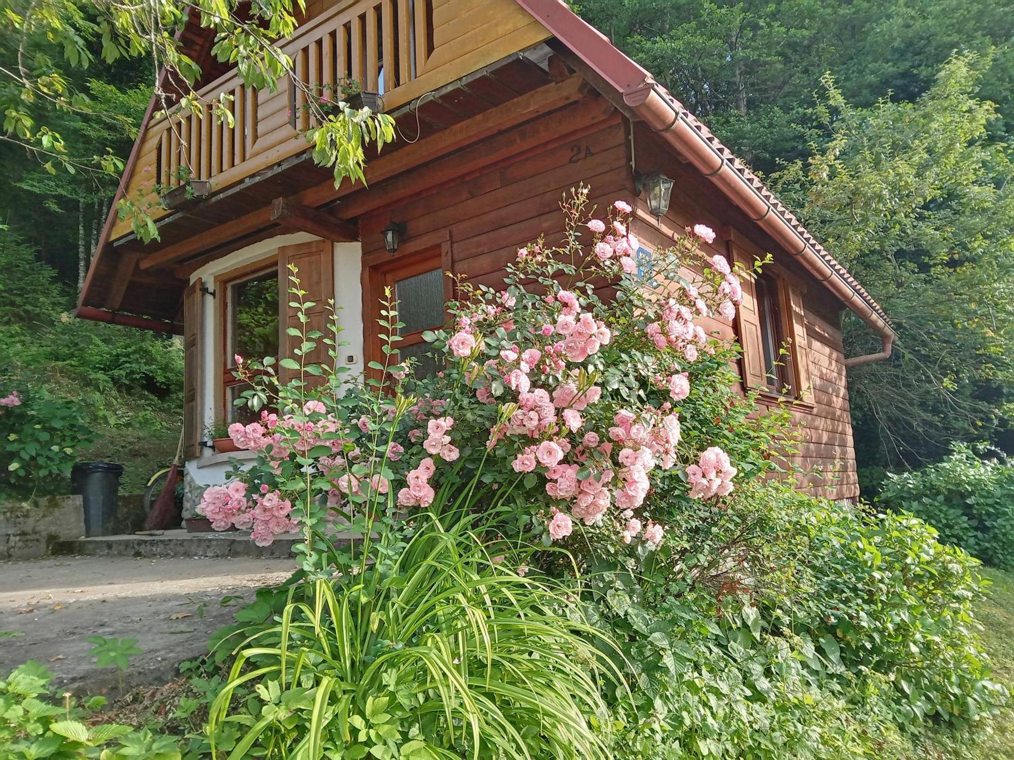 Holiday Home Vesna Brod na Kupi ภายนอก รูปภาพ