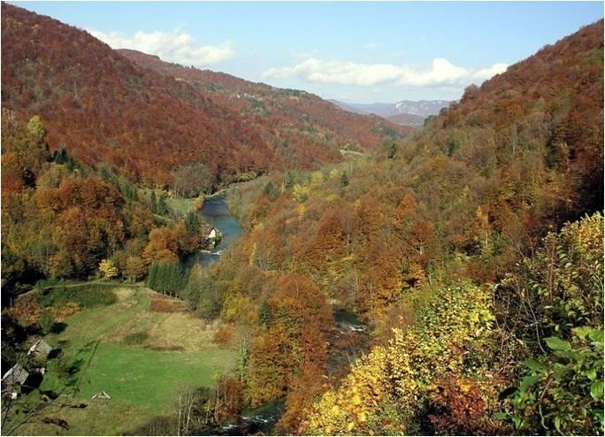 Holiday Home Vesna Brod na Kupi ภายนอก รูปภาพ