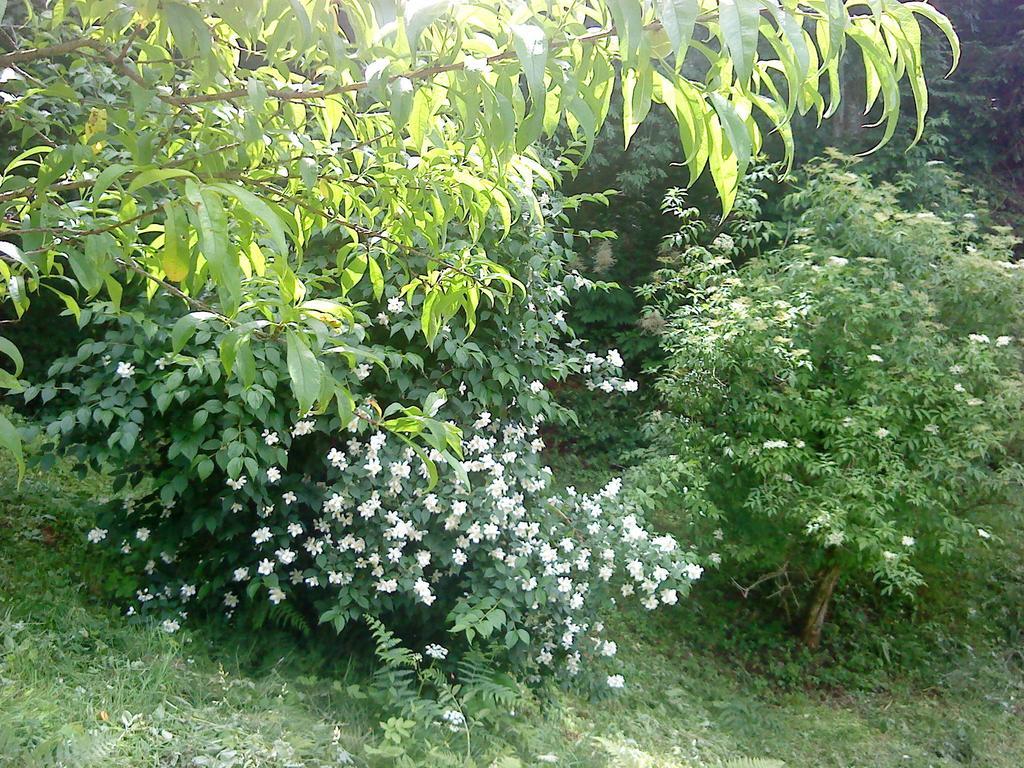 Holiday Home Vesna Brod na Kupi ห้อง รูปภาพ